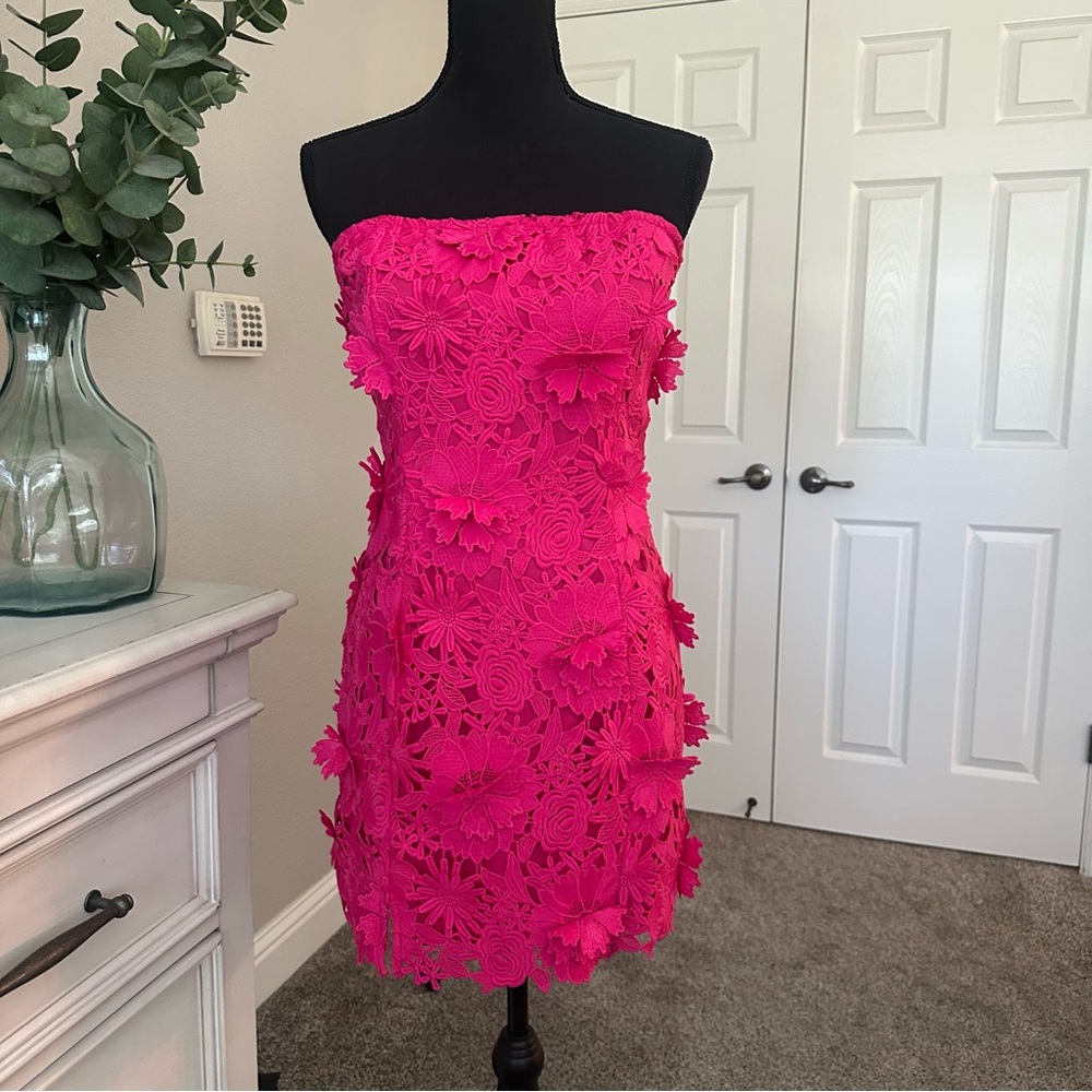 Vici Medium Madelyn Embroidered Floral Strapless Pink Mini Dress